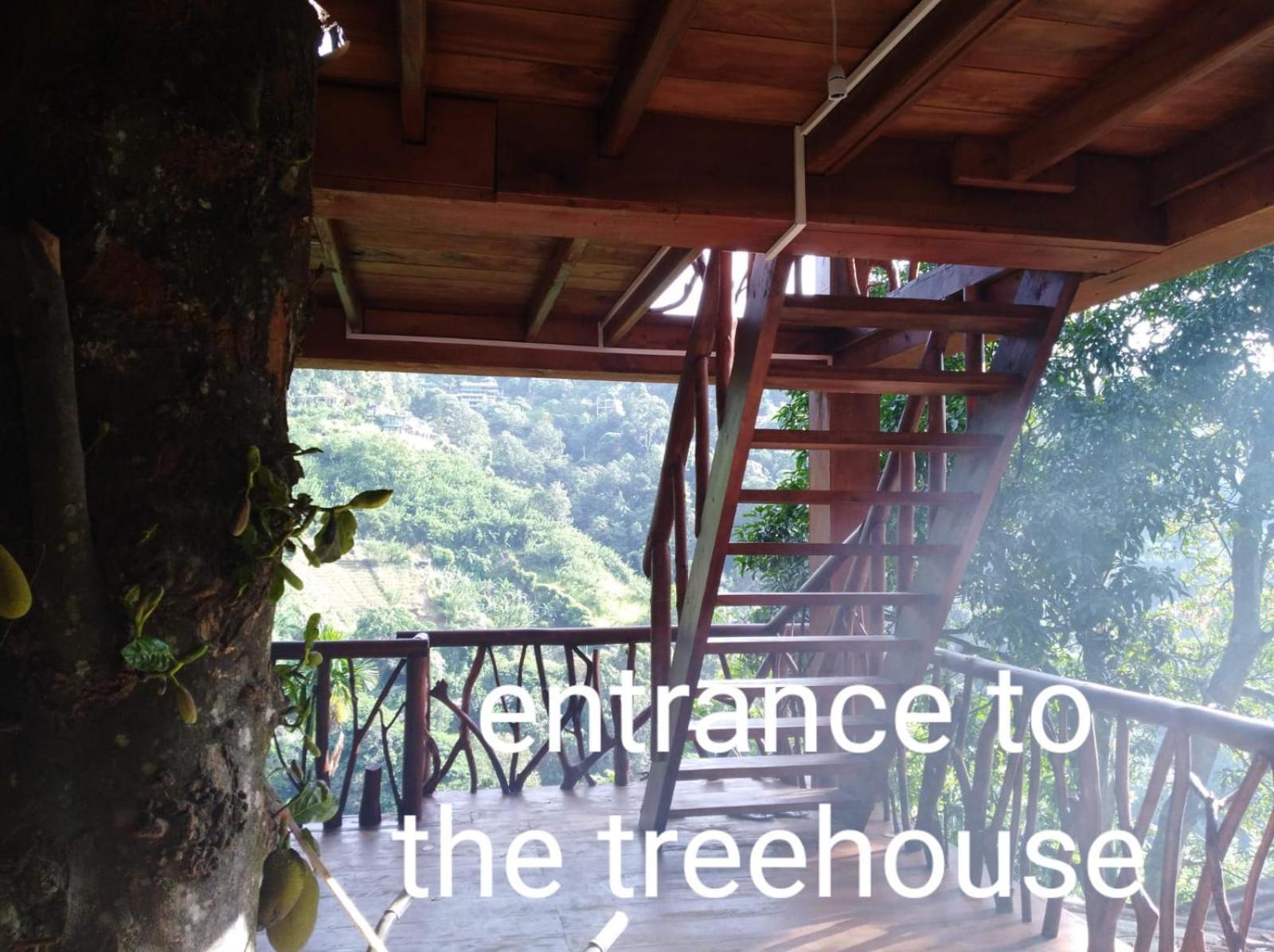 Hotel Ella Treehouse Exterior foto