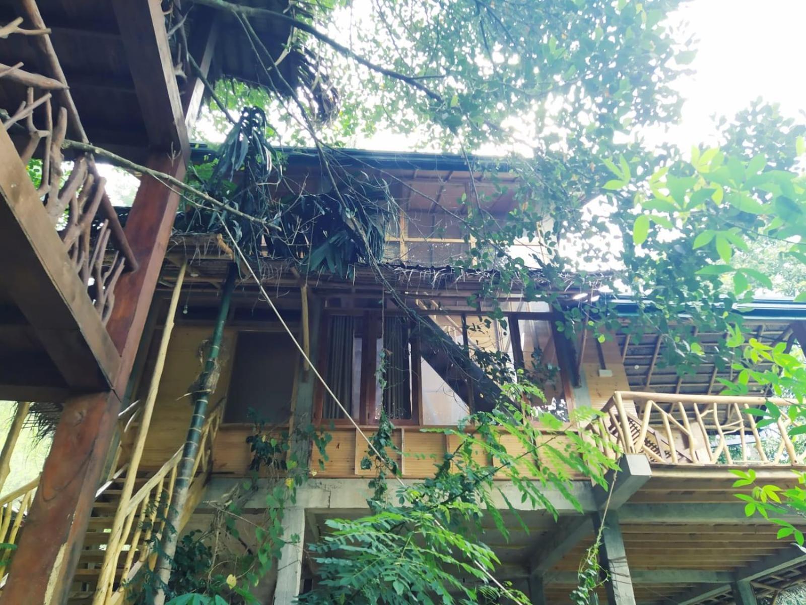 Hotel Ella Treehouse Exterior foto