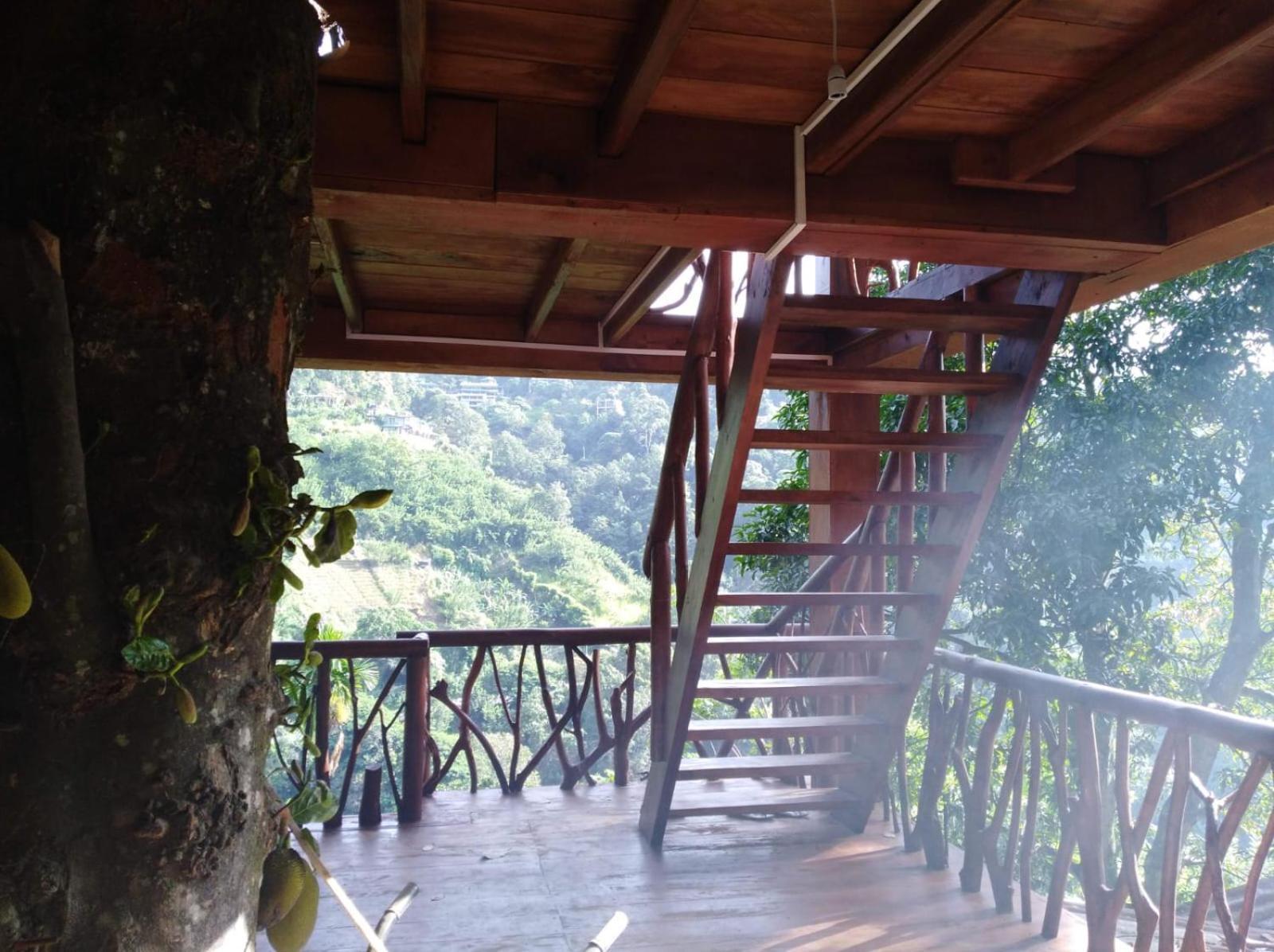Hotel Ella Treehouse Exterior foto