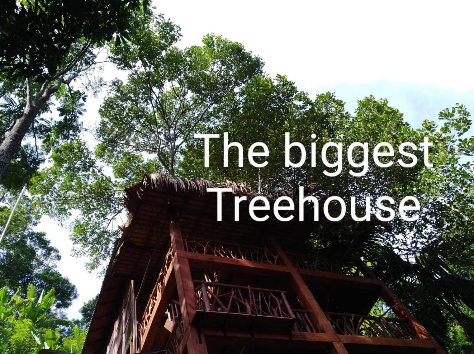 Hotel Ella Treehouse Exterior foto
