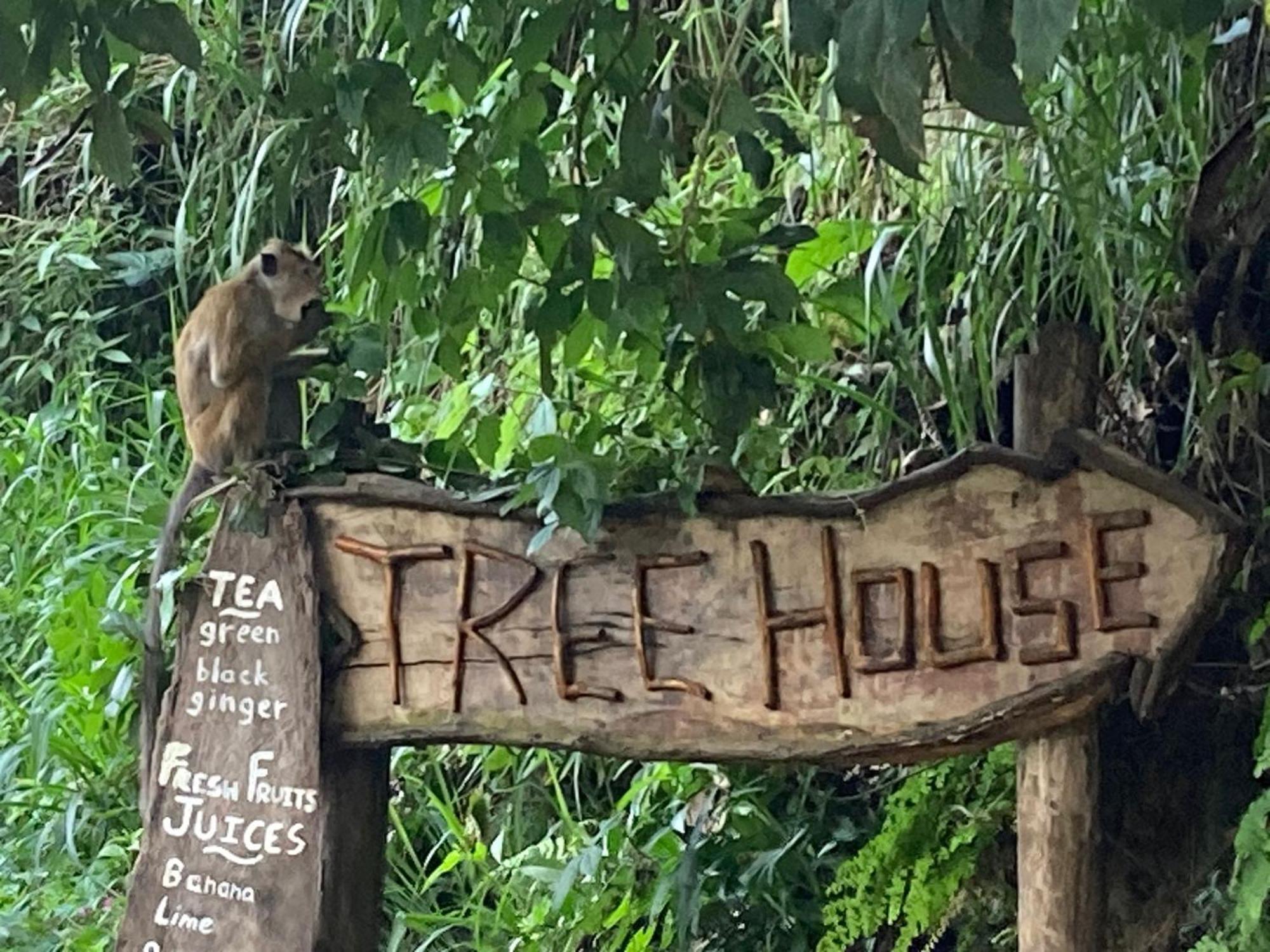 Hotel Ella Treehouse Exterior foto