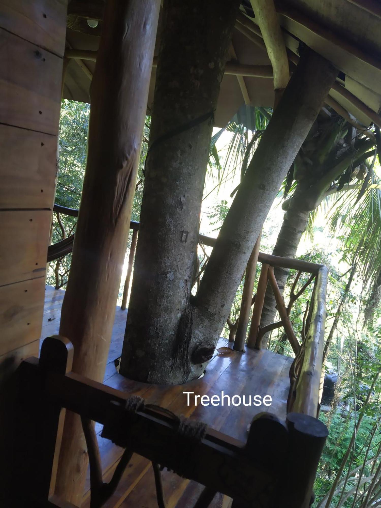 Hotel Ella Treehouse Exterior foto